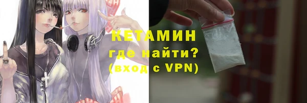 шишки Балахна