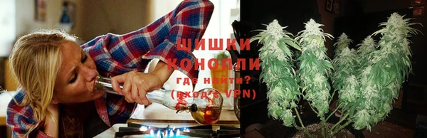 шишки Балахна