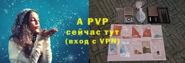 шишки Балахна