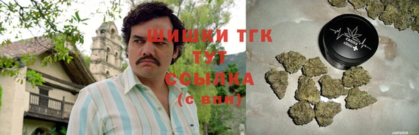 тгк Ростов