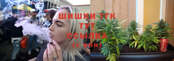 шишки Балахна