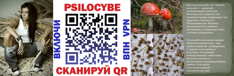 Псилоцибиновые грибы Psilocybine cubensis  купить   Киреевск 