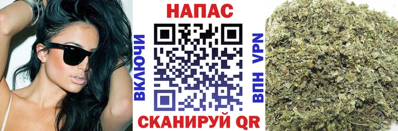 Каннабис OG Kush Киреевск